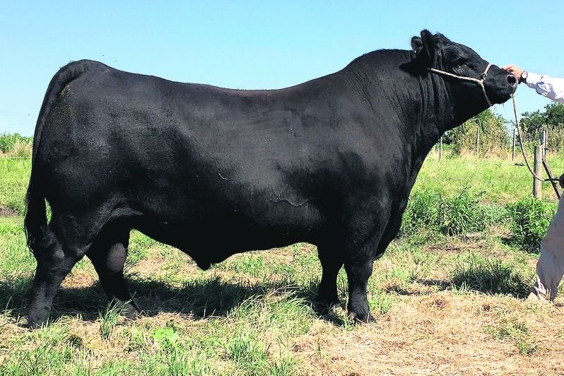 El eterno femenino de una imaginativa pintora