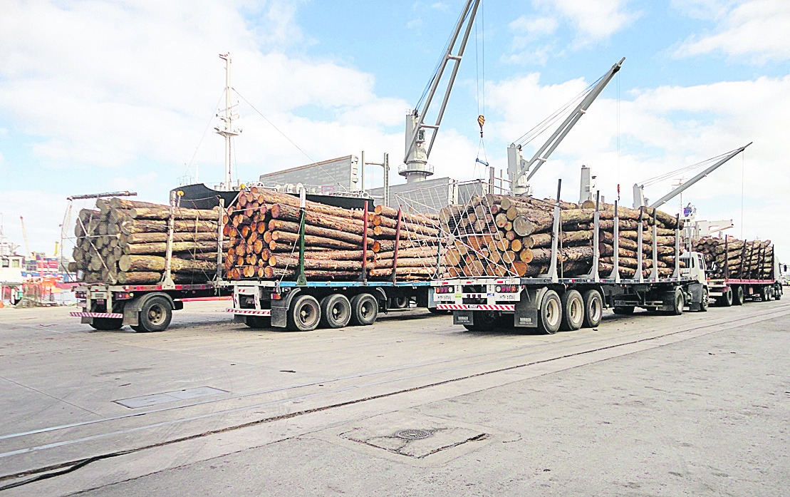 El eterno femenino de una imaginativa pintora