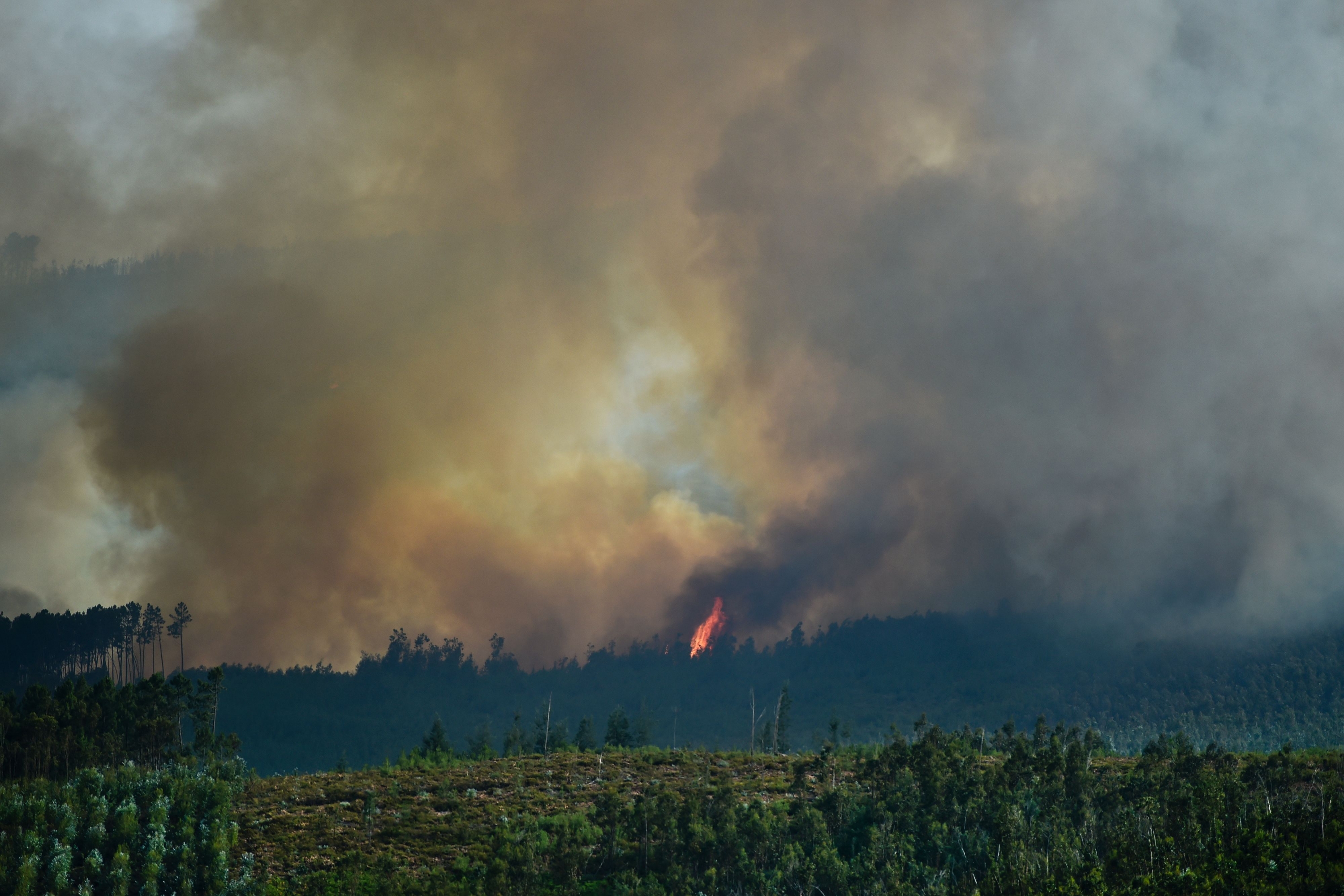 El incendio en Portugal dejó más de 60 muertos y al menos 135 heridos. Foto: AFP