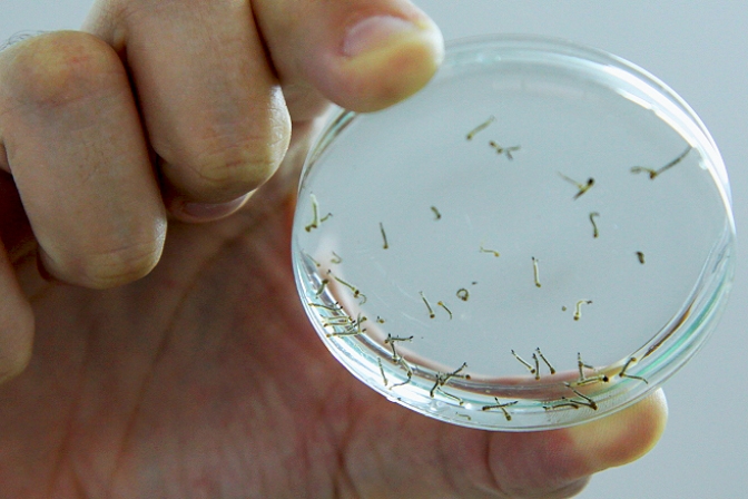 El eterno femenino de una imaginativa pintora