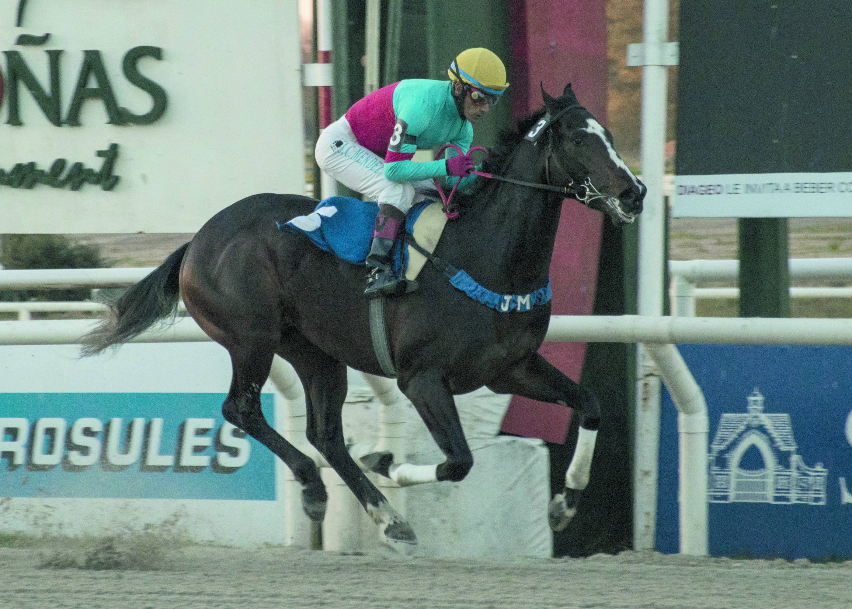 El eterno femenino de una imaginativa pintora