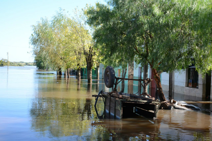 Juez autorizó desalojar a los ocupantes de las viviendas que pueden ser afectadas por la creciente. Foto: Raúl Zapata/  Intendencia de Artigas
