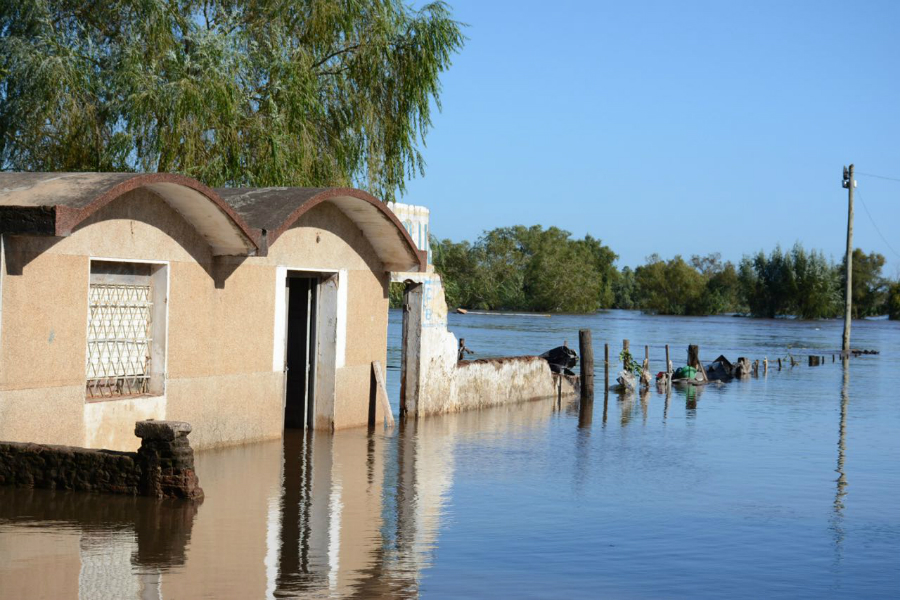 Juez autorizó desalojar a los ocupantes de las viviendas que pueden ser afectadas por la creciente. Foto: Raúl Zapata/  Intendencia de Artigas