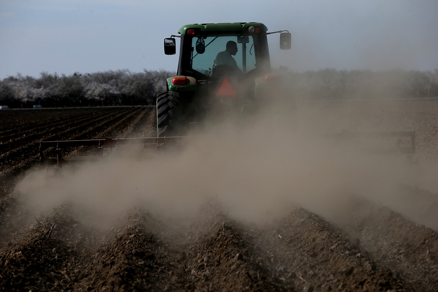 Agro es el sector que lideró los proyectos financiados por el BROU. Foto: AFP