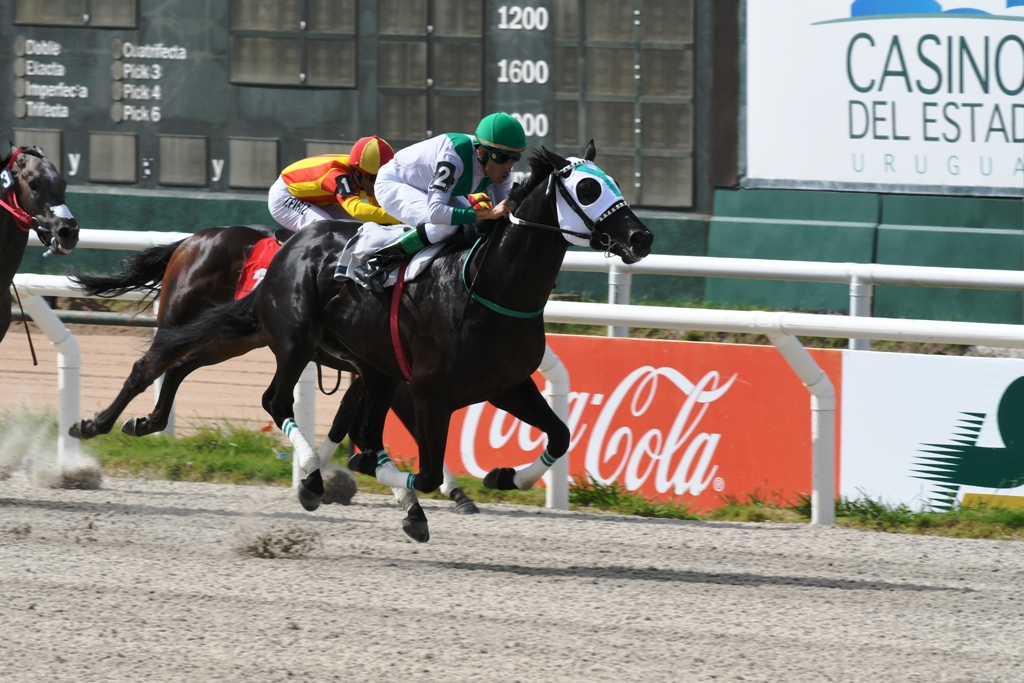 El eterno femenino de una imaginativa pintora