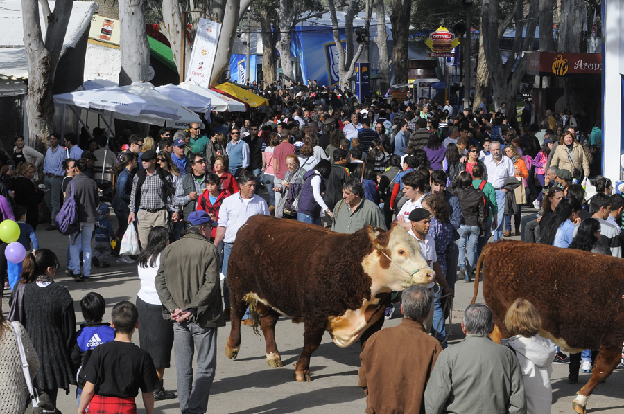 El eterno femenino de una imaginativa pintora