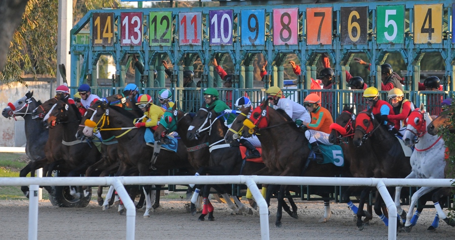 El eterno femenino de una imaginativa pintora