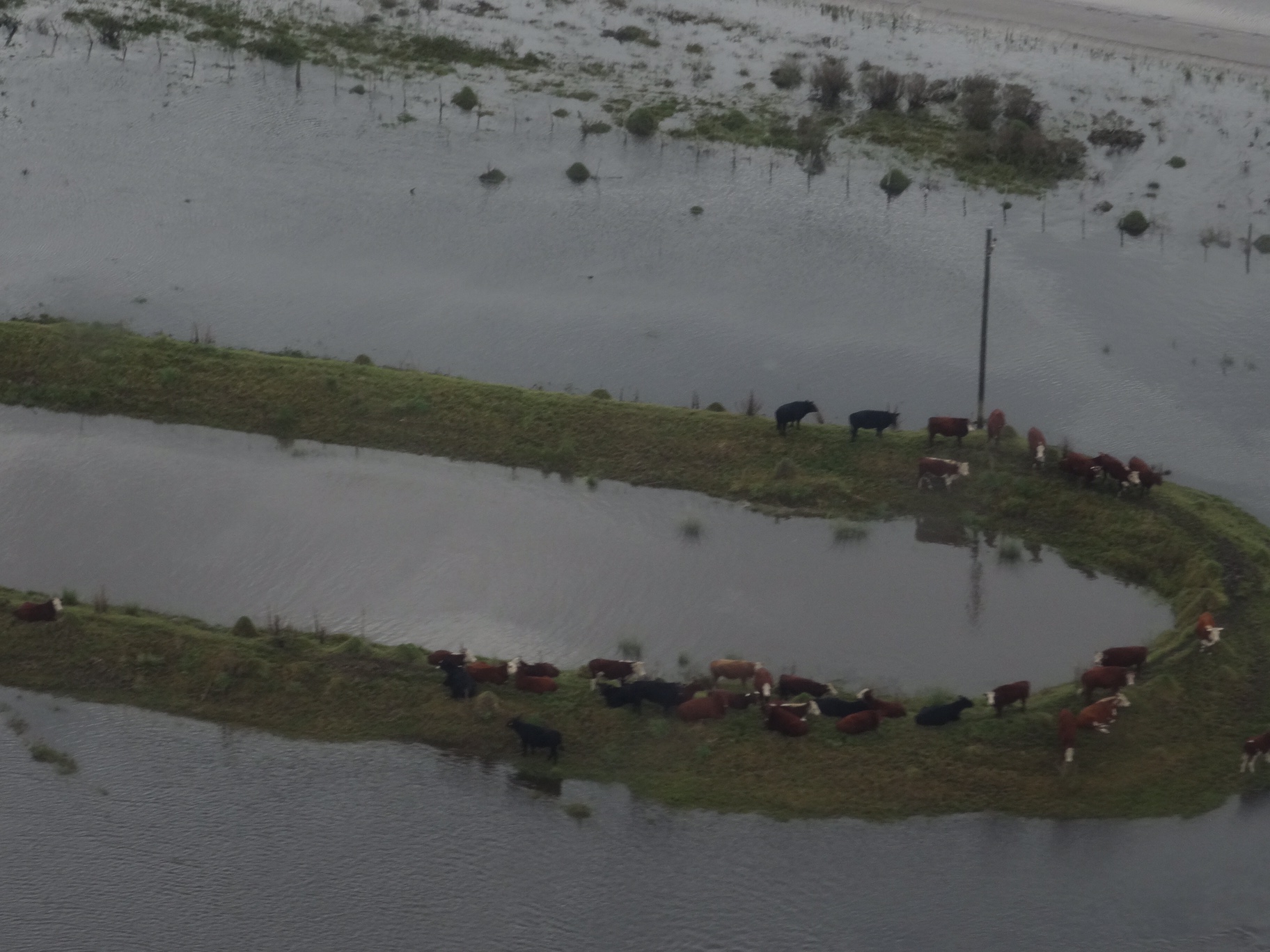 Río Cebollatí desbordado en Lascano. Foto: Ricardo Figueredo