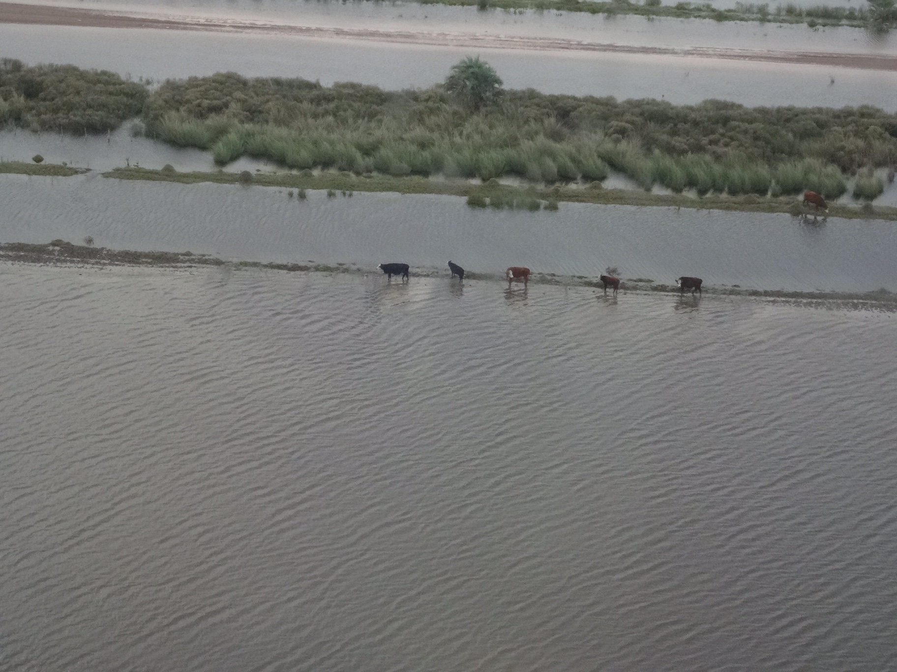 Río Cebollatí desbordado en Lascano. Foto: Ricardo Figueredo