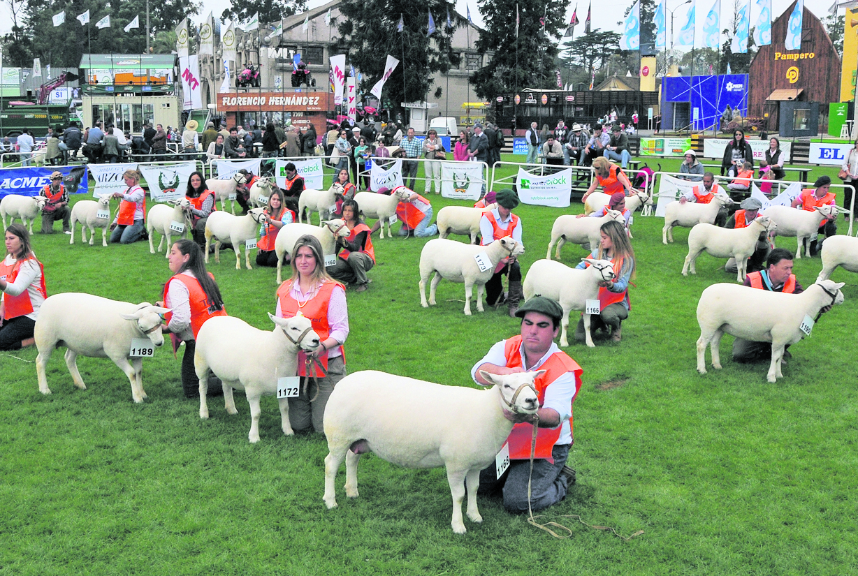 El eterno femenino de una imaginativa pintora