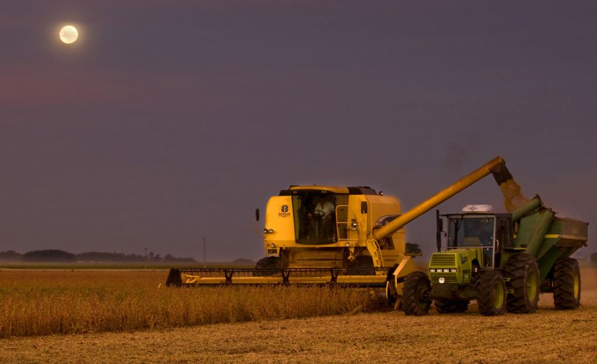 El eterno femenino de una imaginativa pintora