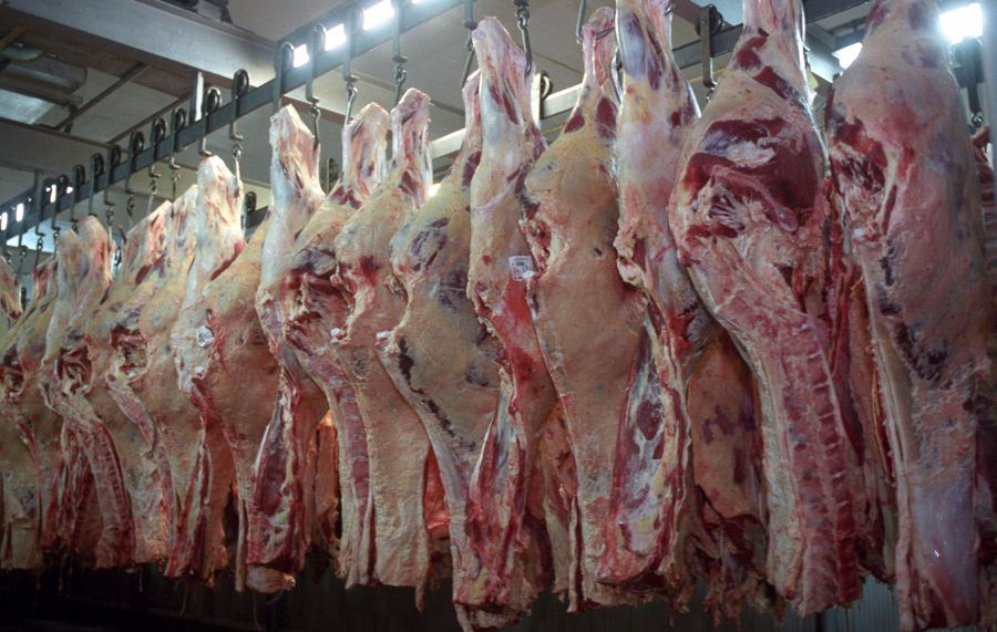 El eterno femenino de una imaginativa pintora