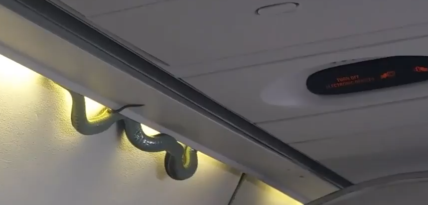 El eterno femenino de una imaginativa pintora