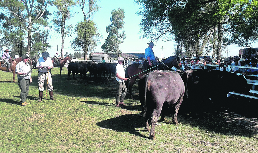 El eterno femenino de una imaginativa pintora
