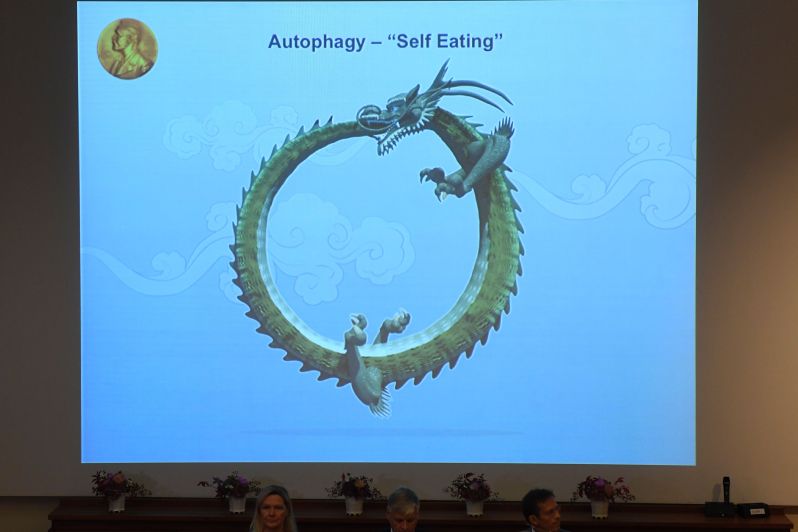 El eterno femenino de una imaginativa pintora