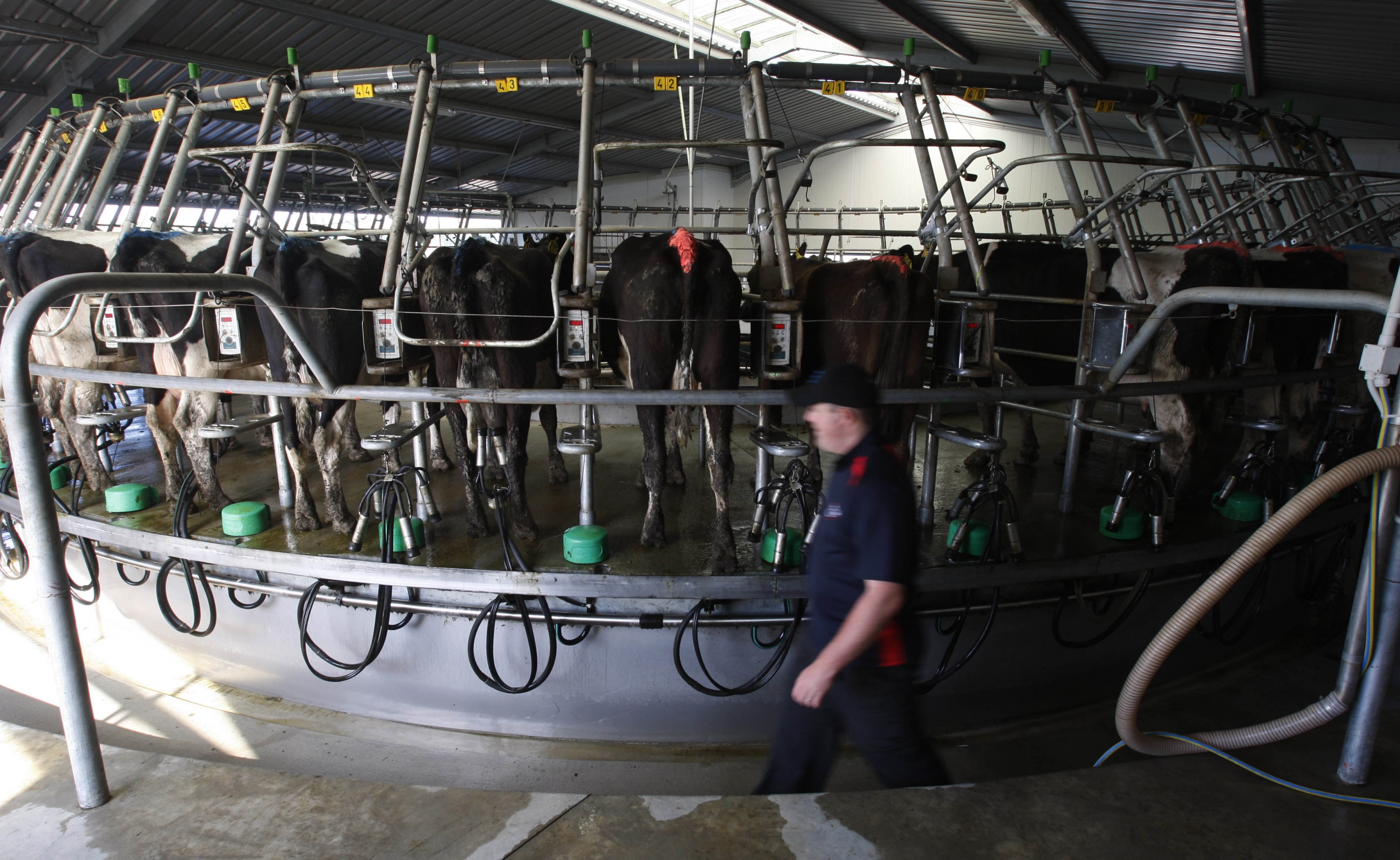 El eterno femenino de una imaginativa pintora