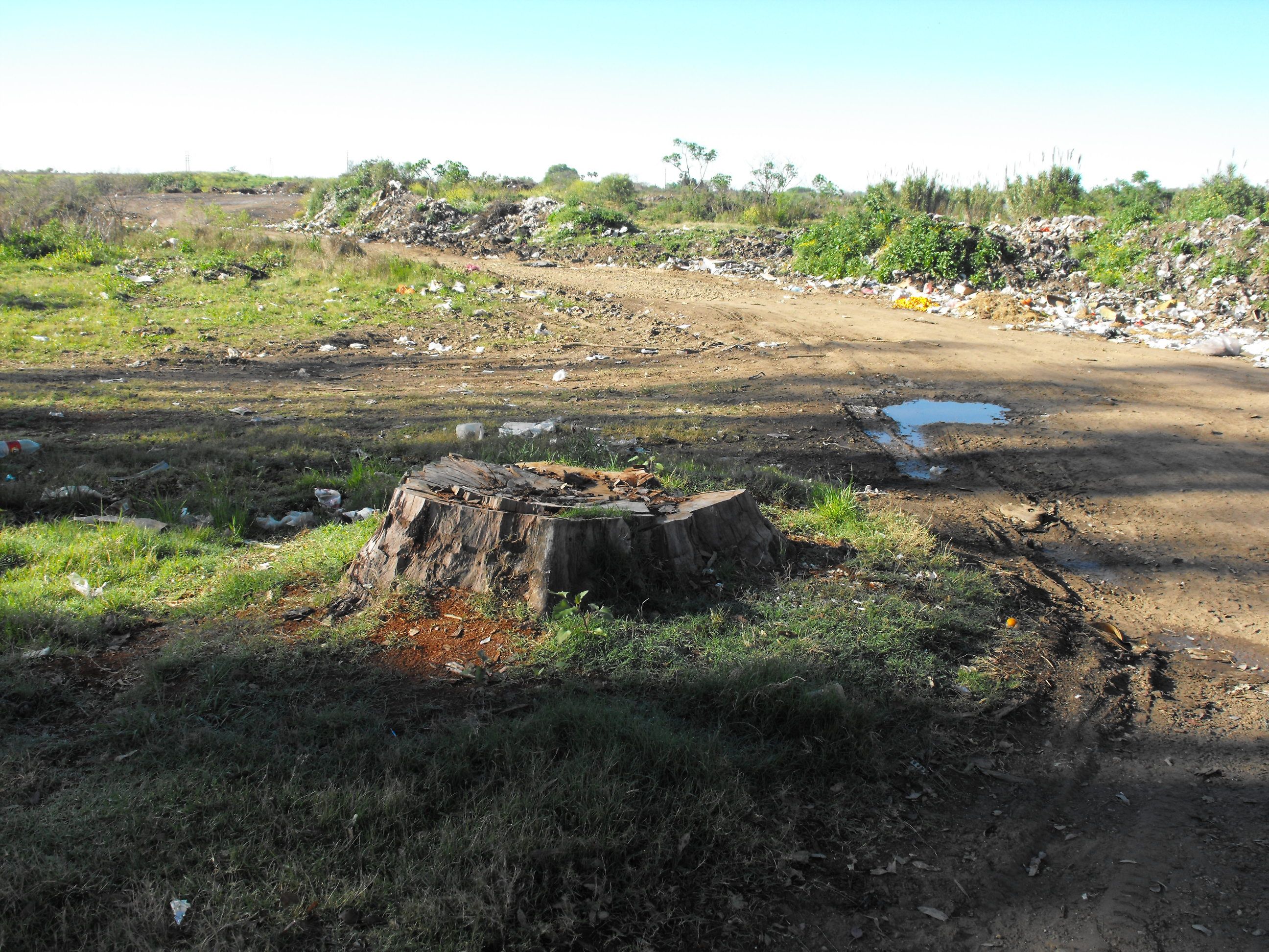 El eterno femenino de una imaginativa pintora
