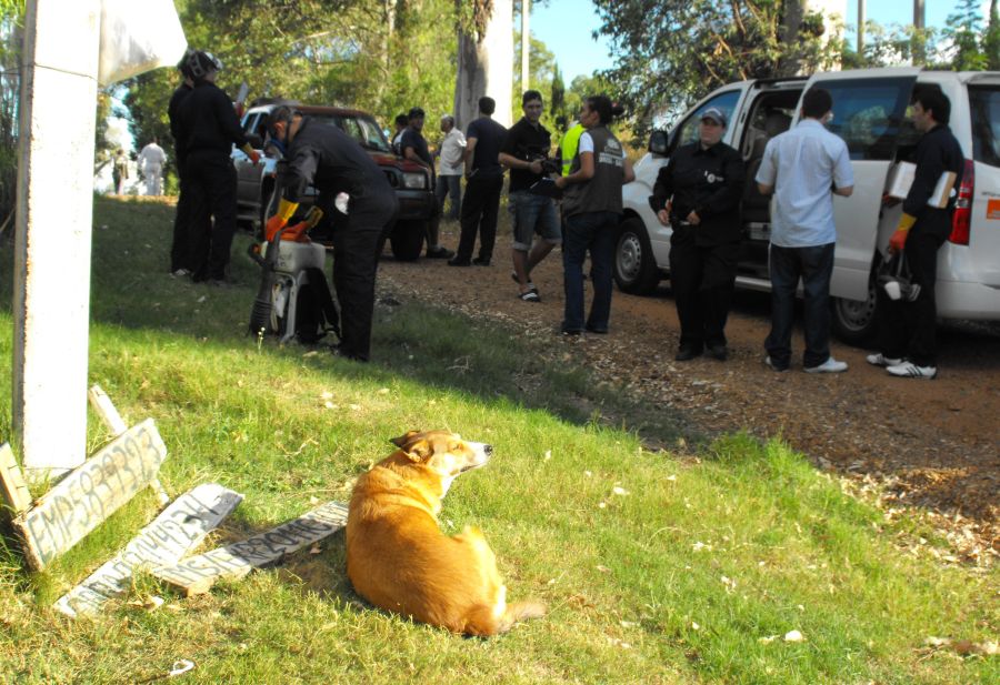 El eterno femenino de una imaginativa pintora