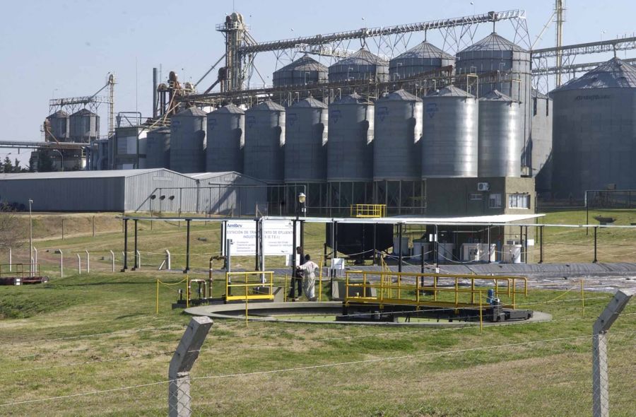 El eterno femenino de una imaginativa pintora