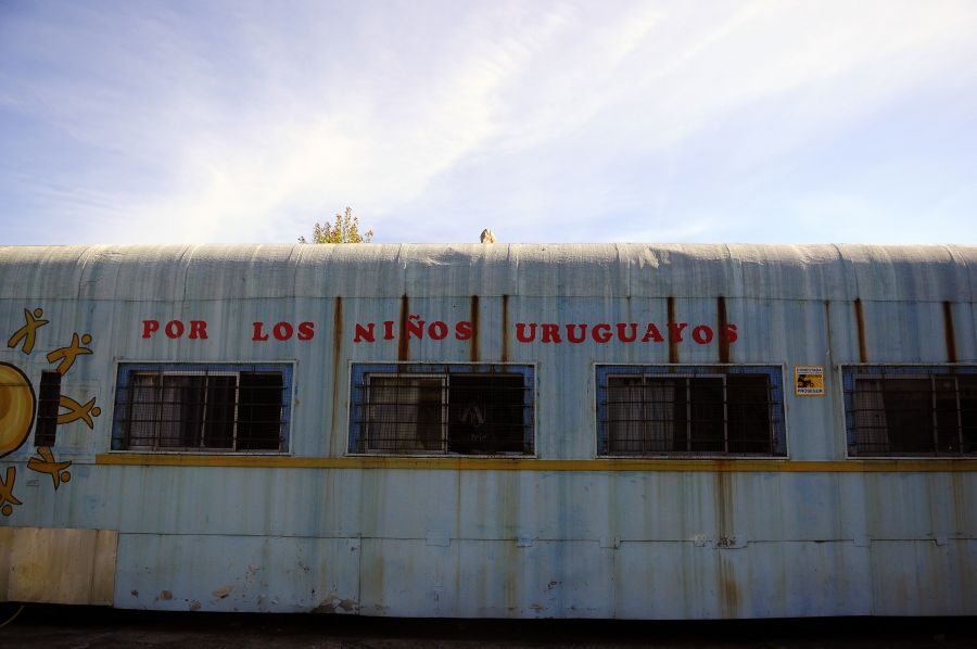 Un recorrido por Carrasco Norte. Foto: Fernando Ponzetto