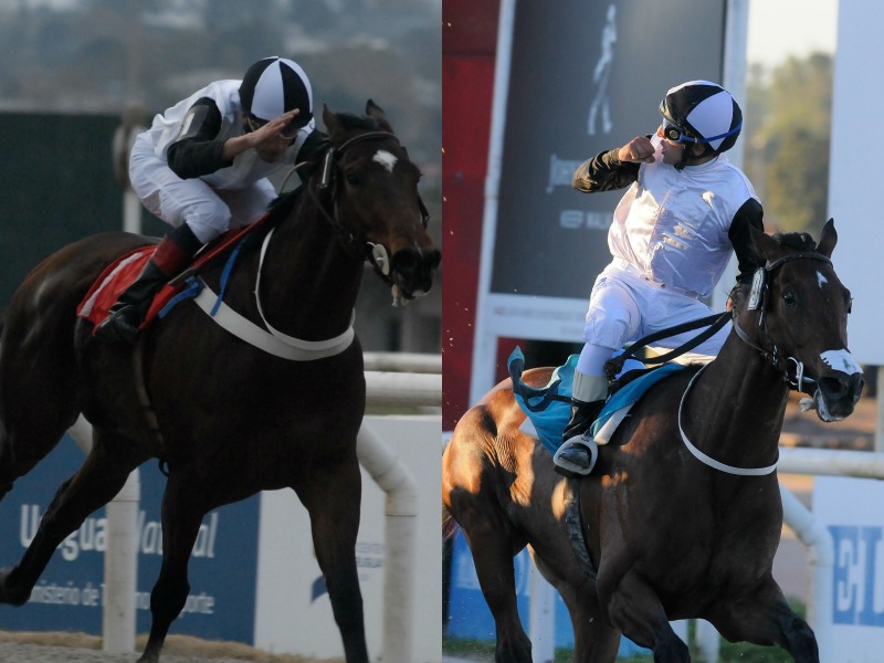 El eterno femenino de una imaginativa pintora