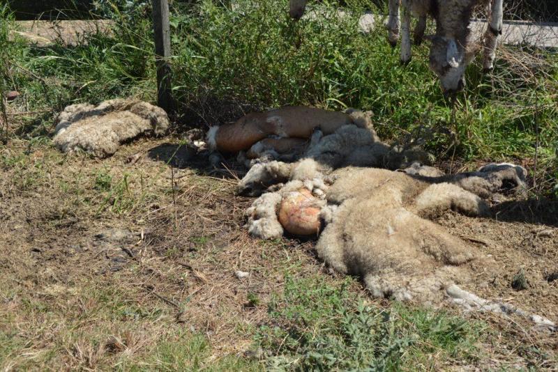 El eterno femenino de una imaginativa pintora