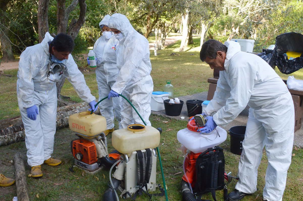 Fumigación en Maldonado. Foto: Ricardo Figueredo