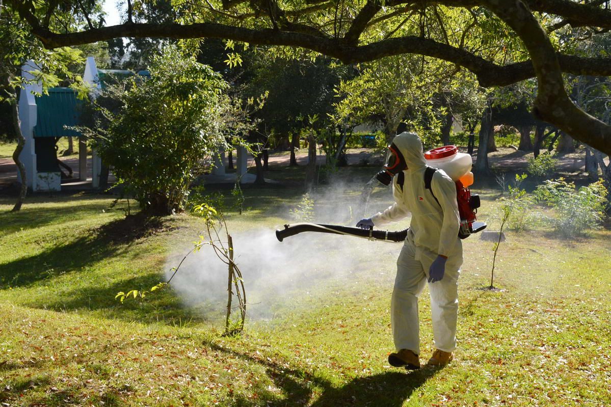 Fumigación en Maldonado. Foto: Ricardo Figueredo