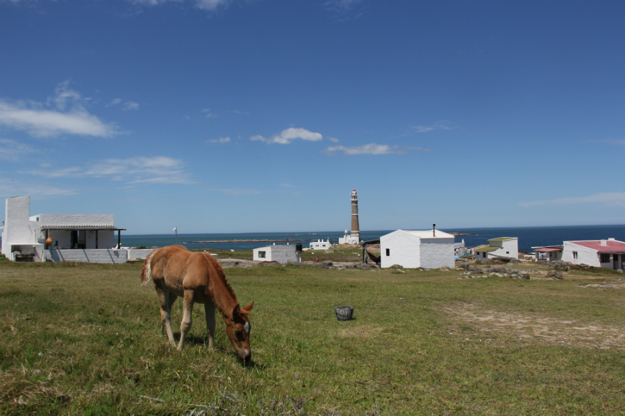 Cabo Polonio es uno de los destinos turísticos preferidos de Uruguay. Foto: Juan Gari