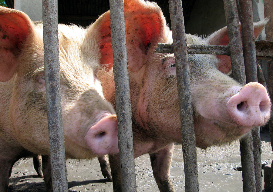 El eterno femenino de una imaginativa pintora