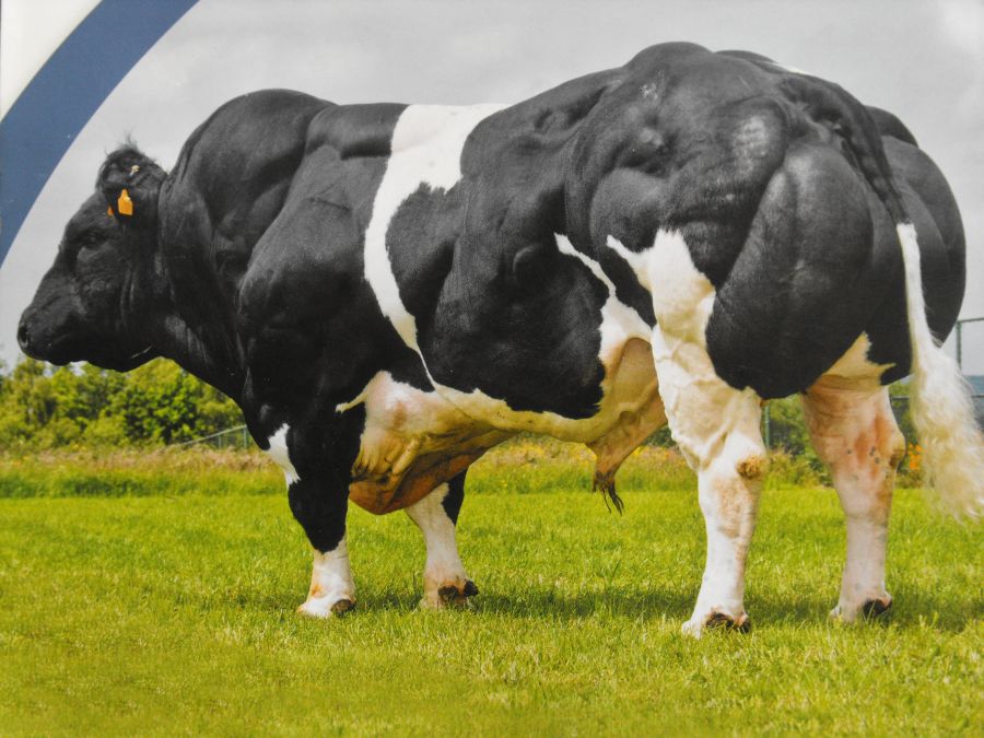 El eterno femenino de una imaginativa pintora