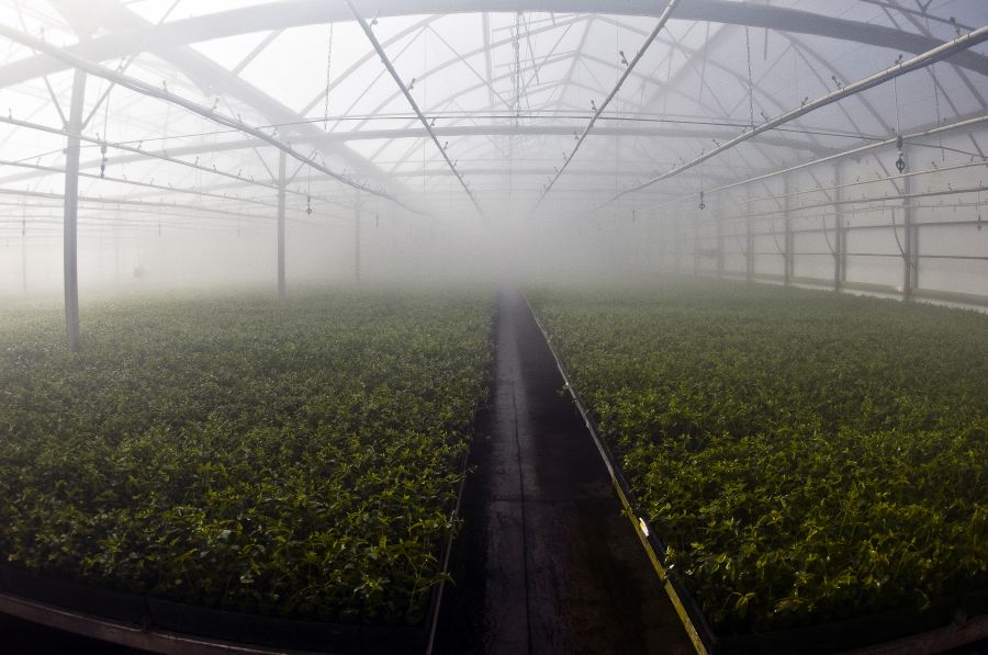 UPM en Paysandú. Foto: Fernando Ponzetto