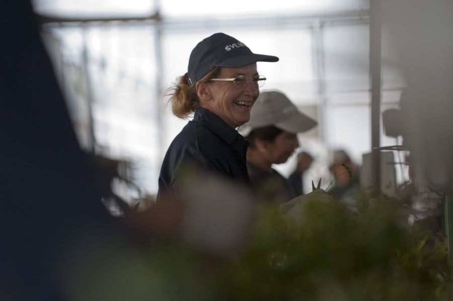 Mujeres que trabajan en UPM en Paysandú. Foto: Fernando Ponzetto