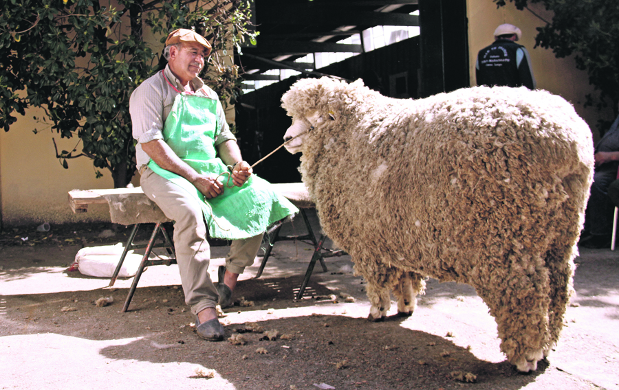 Foto: Gabriel Rodríguez