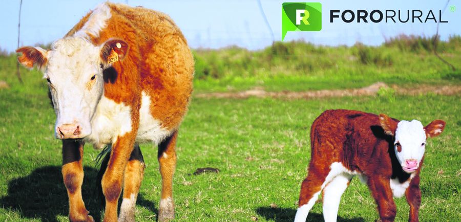 El eterno femenino de una imaginativa pintora