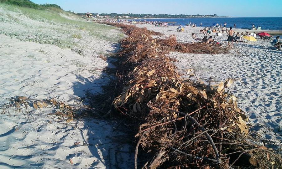 El eterno femenino de una imaginativa pintora