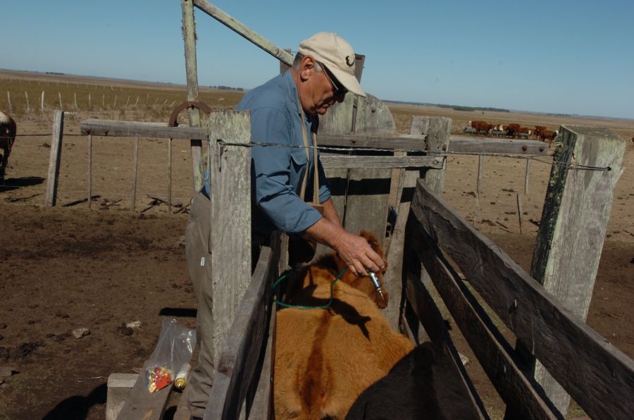 El eterno femenino de una imaginativa pintora