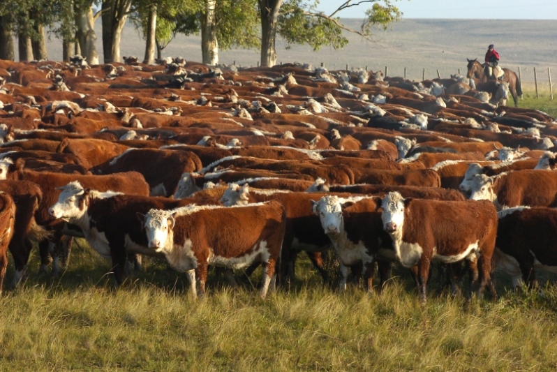 El eterno femenino de una imaginativa pintora
