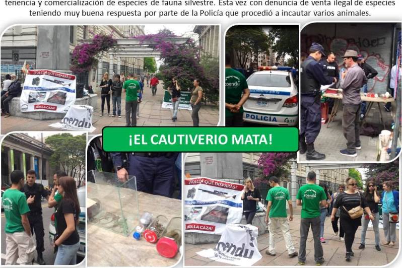 El eterno femenino de una imaginativa pintora