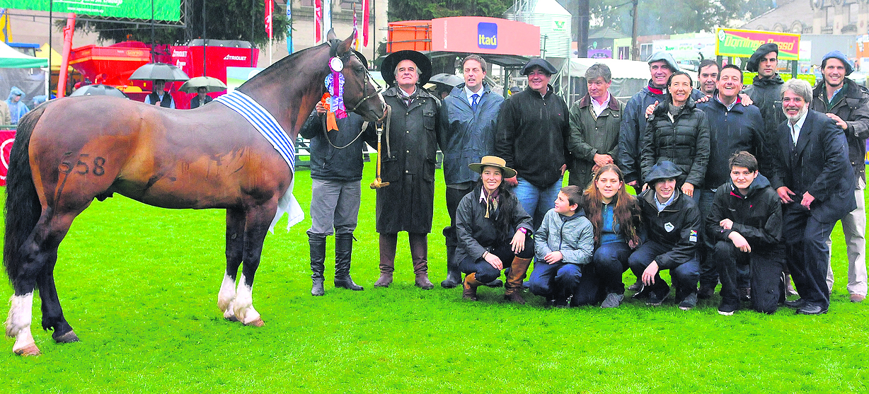 De Juan Montans y Cecilia Ferrando, en conjunto con C. Grauert y Techera Cabrera Hnos. Foto: A. Colmegna