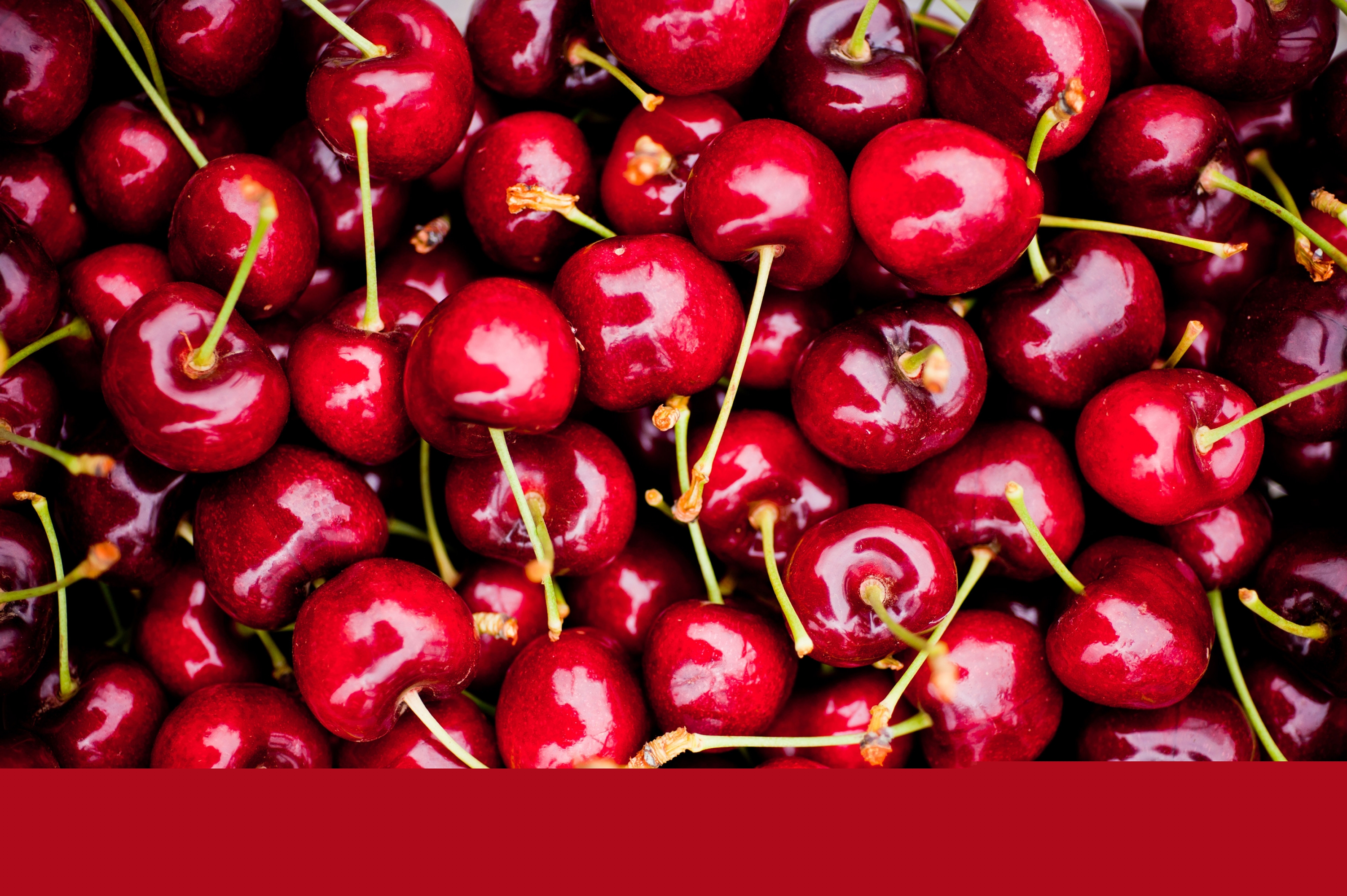 El eterno femenino de una imaginativa pintora