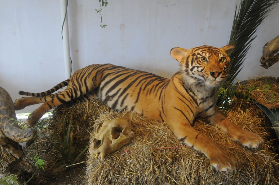 Foto: Ariel Colmegna