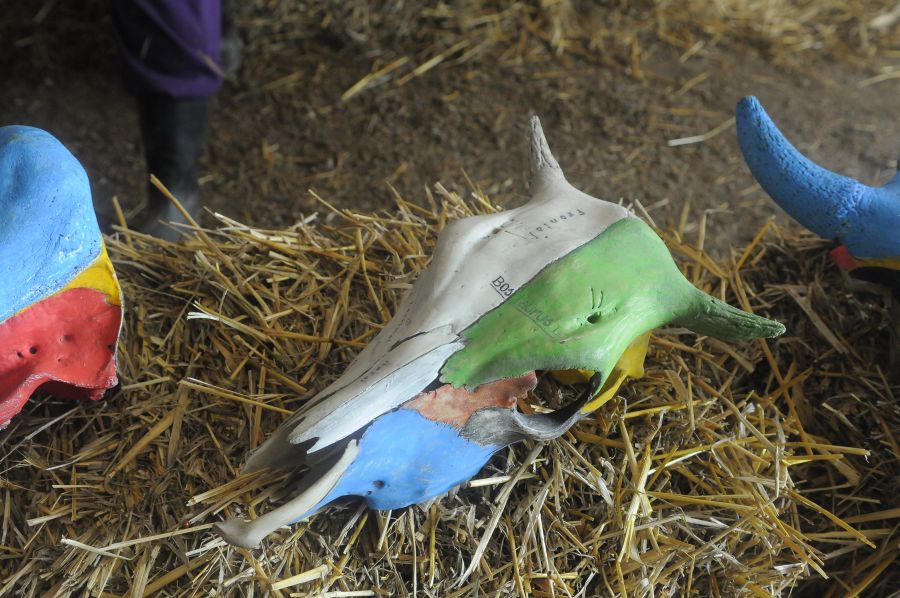 Foto: Ariel Colmegna