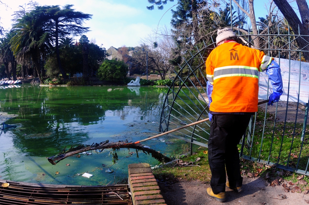 Vacían el lago del Parque Rodó. Foto: Fernándo Ponzetto