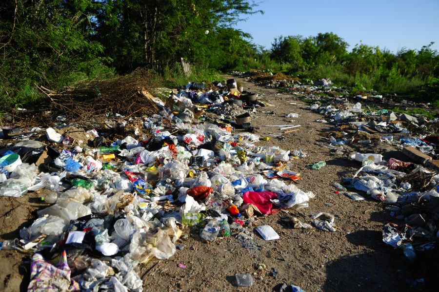 Foto: Fernando Ponzetto.