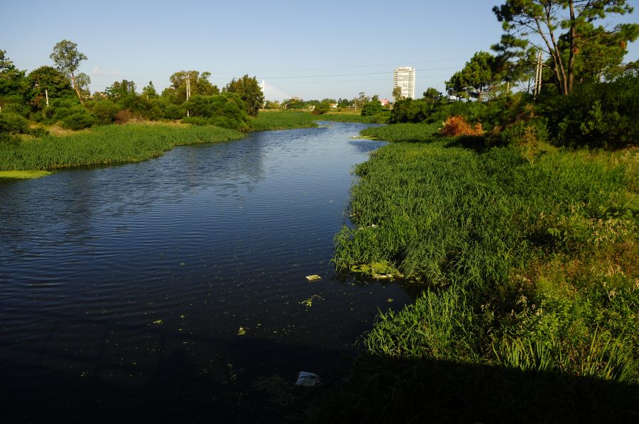 Foto: Fernando Ponzetto.