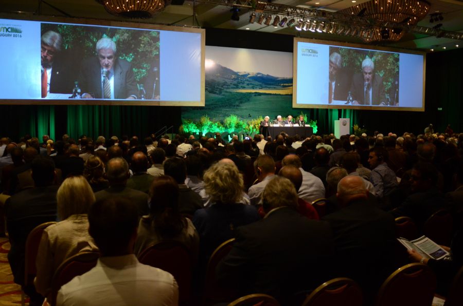 El eterno femenino de una imaginativa pintora