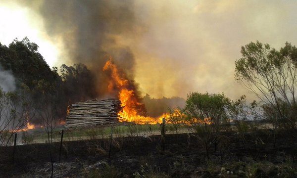 Incendio en Paso del Rey, Lavalleja. Foto: @camboue