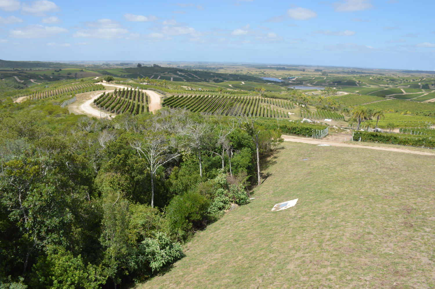 Garzón. Es una nueva región vitivinícola, según Bulgheroni. (Foto: Ricardo Figueredo)