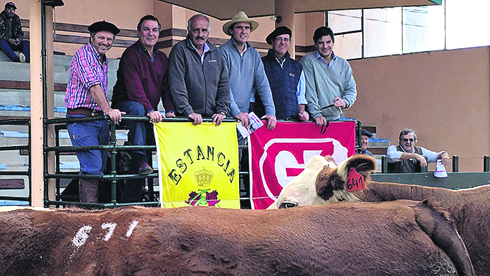 El eterno femenino de una imaginativa pintora